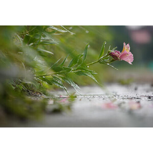 Sony Alpha a6100 Dijital Fotoğraf Makinesi - Thumbnail