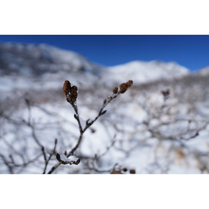 Sony FE 16-25mm f/2.8 G Lens (Sony E) - Thumbnail