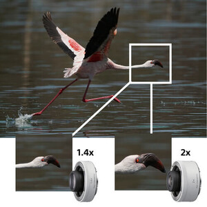 Sony FE 200-600mm f / 5,6-6,3 G OSS Lens - Thumbnail