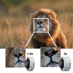 Sony - Sony FE 600mm f/4 GM OSS Lens (1)