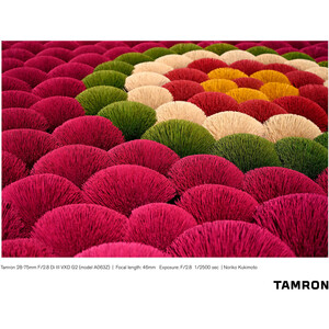 Tamron 28-75mm f/2.8 Di III VXD G2 Lens (Nikon Z) - Thumbnail