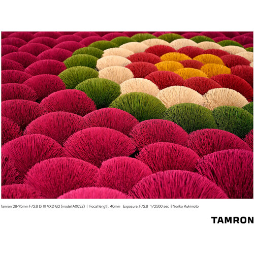 Tamron 28-75mm f/2.8 Di III VXD G2 Lens (Nikon Z)
