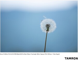 Tamron 70-300mm f/4.5-6.3 Di III RXD Lens (Nikon Z) - Thumbnail