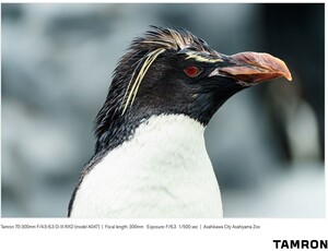 Tamron 70-300mm f/4.5-6.3 Di III RXD Lens (Sony E) - Thumbnail