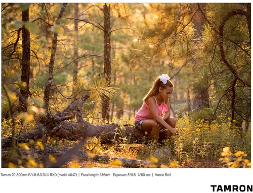 Tamron 70-300mm f/4.5-6.3 Di III RXD Lens (Sony E)
