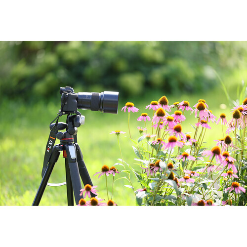 Tamron 90mm f/2.8 Di III VXD Macro Lens (Sony E)