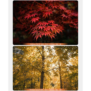 Yongnuo 35mm f/2Z DF DSM Nikon Z Mount Uyumlu Otofokus Prime Lens - Thumbnail