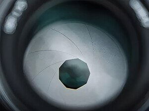 Yongnuo 56mm f/1.4Z DA DSM WL Pro Otofokus Lens (Nikon Z) - Thumbnail